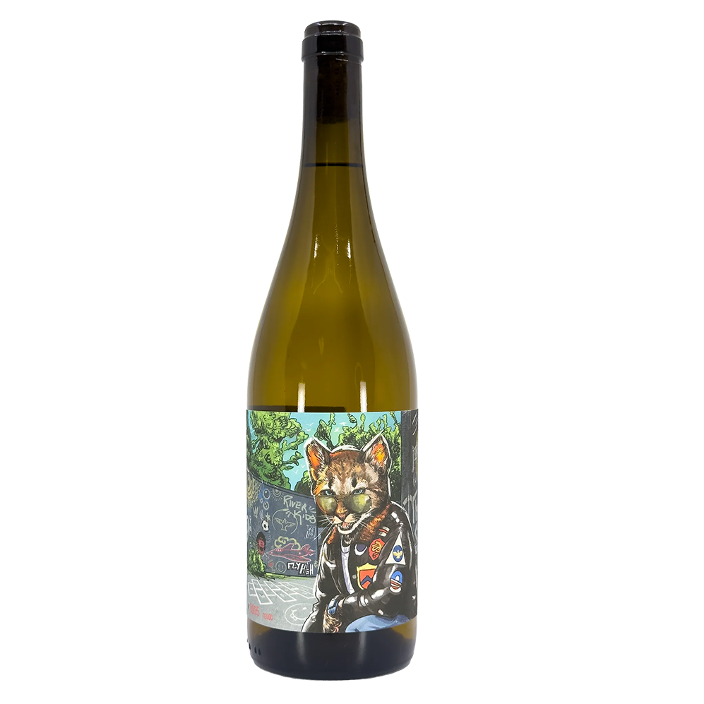 Hugo Mendes Pitau Branco