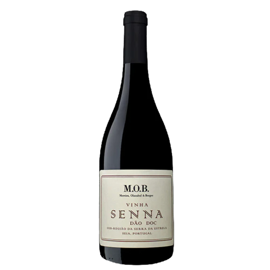 M.O.B Senna Tinto