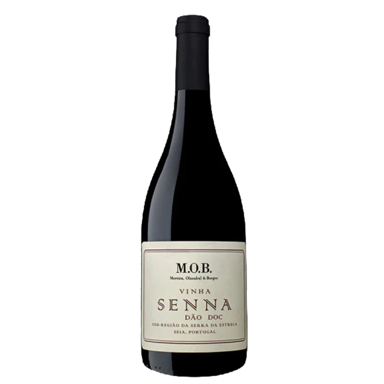 M.O.B Senna Tinto